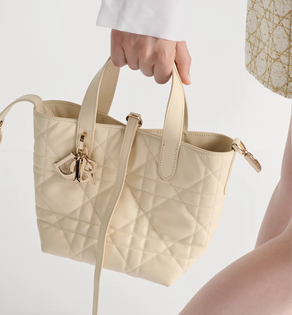 Small Dior Toujours Vertical Tote Bag